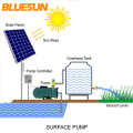 Einsatz von Bluesun DC und AC 7PS Solarstrompumpensystem für den Bauernhof